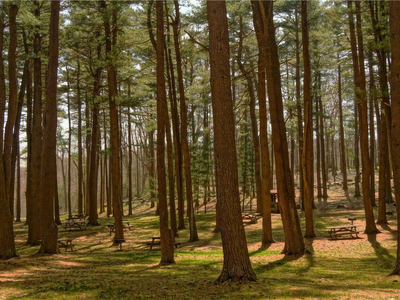 community screenshot 5